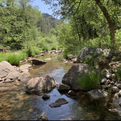 Christopher Creek, photo provided by Kevin Lane.