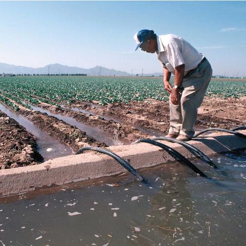 USDA Irrigation photo